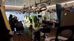 Toa Payoh Central (D12), Shop House #573586951